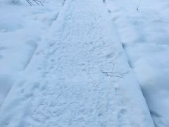 -长白山红松王滑雪场