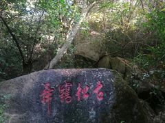 -丹樱生态园