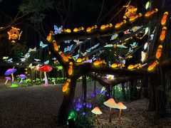 -台山颐和温泉城