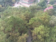 野外自助烧烤+野炊-荔枝园美食山庄(贞山风景区店)