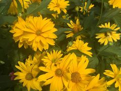 -长春公园(普阳街道)