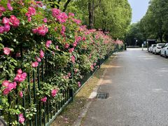 -贡湖湾湿地公园