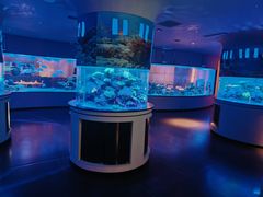 -上和臻品中国菜(花园街店)