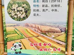 -中国天府农业博览园
