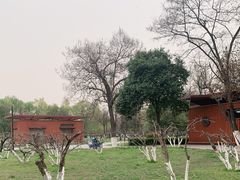 -大明宫国家遗址公园·御道广场