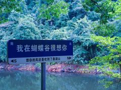 -鼎湖山风景区