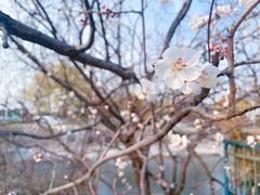 -雍和宫(地铁站)