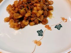 -丁老爷子苏香圆