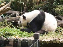 -云南野生动物园