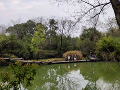 -西溪国家湿地公园