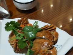 -呼吸森林·生态农庄农家乐私房菜