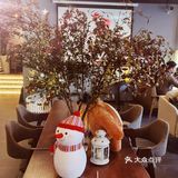 第一次探店献给了咖法森林！