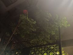 -湘当爱·鲜煮现炒(松岗立业路店)