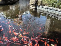 -庐山西海主景区