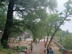 -阳台山自然风景区