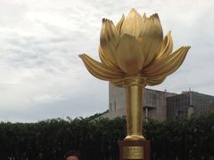 -金莲花广场