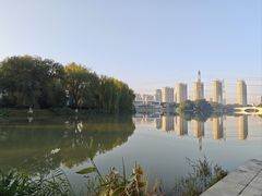 -九里河湿地公园