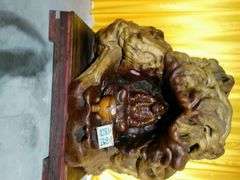 -九多肉多(王城路店)