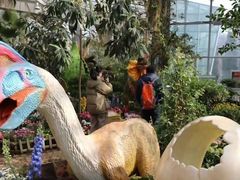 -沈阳植物园