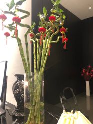-丽妍雅集 Rubis SPA