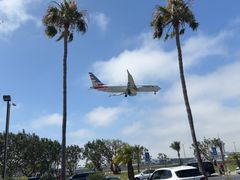 -In-N-Out Burger(LAX)