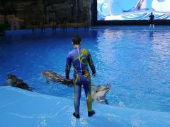 -芜湖新华联大白鲸海洋公园