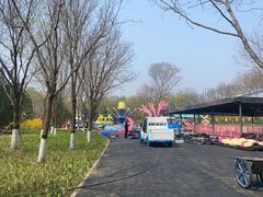 -大兴滨河森林公园