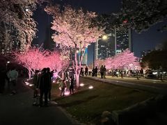 -西北湖绿化广场