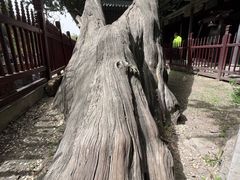 -晋祠博物馆