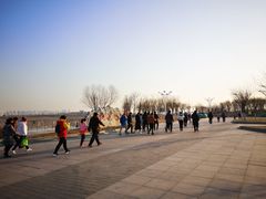 -天津东丽湖风景区