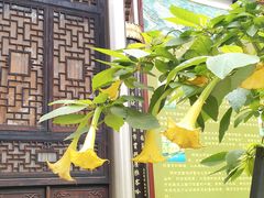 -古大圣慈寺