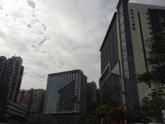 -金莲花广场