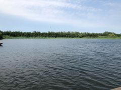 -溱湖国家湿地公园