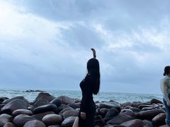 -广东惠东海龟国家级自然保护区