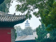 -修德寺塔