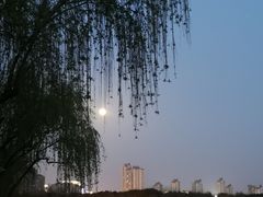 -庆江南江南菜(张家港吾悦店)