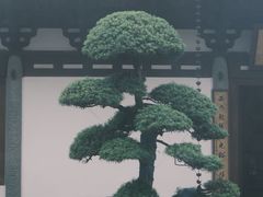 -径山寺