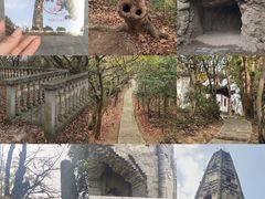 -上海佘山国家森林公园天马山园