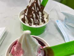 -Salud撒露欧洲冻酸奶(五道口购物中心店)