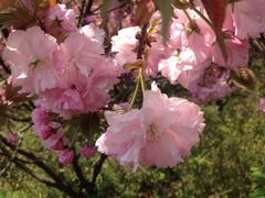 iphone_upload_pic-穹窿山景区