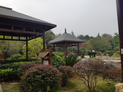 -咸宁万豪温泉谷度假区