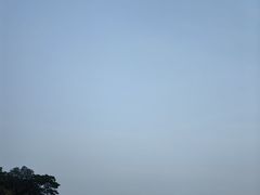-三水森林公园