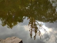 -秋霞圃