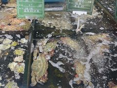 -味茂·老船夫1927(东海东路店)