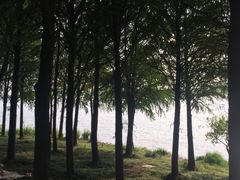 -贡湖湾湿地公园