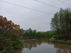 -上海海湾国家森林公园