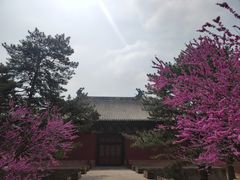 -永乐宫