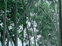 -麓湖高尔夫球俱乐部