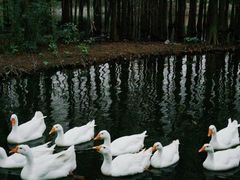 -厦门园林博览苑