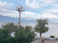 -野菌皇海景野生菌火锅(滨海大道店)